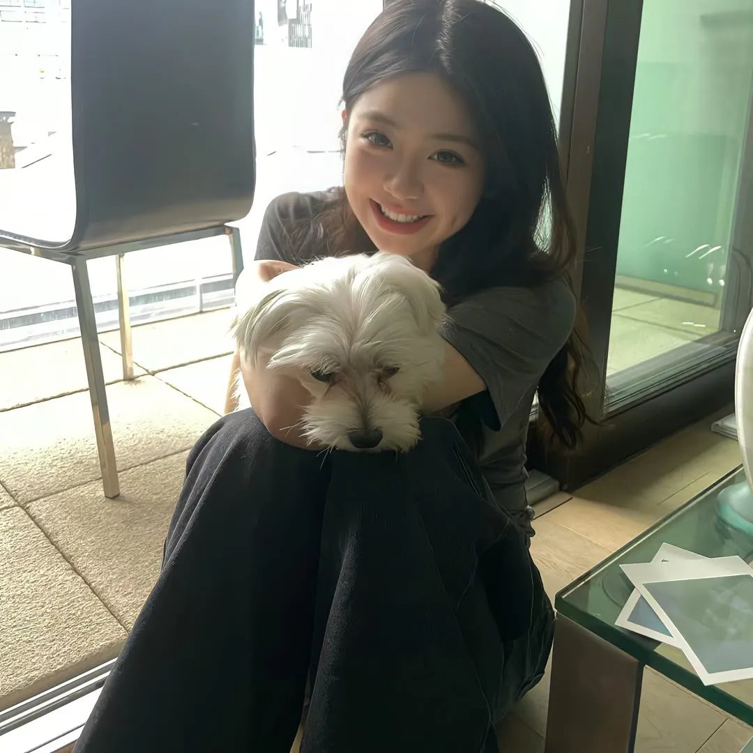 杜鹃的婚约